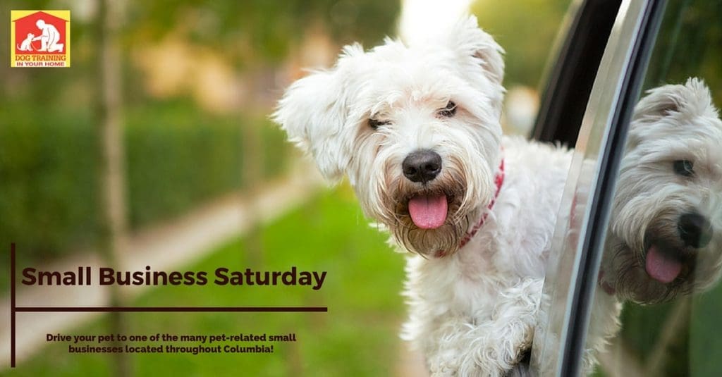 Small Business Saturday | Dog Training In Your Home Columbia